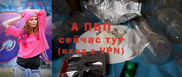прущие крисы Магадан
