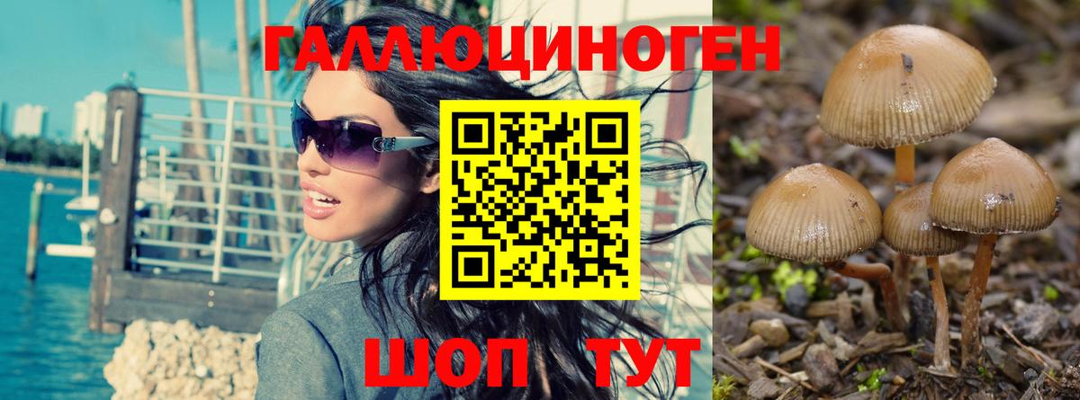 Псилоцибиновые грибы прущие грибы  Электросталь  Псилоцибиновые грибы MAGIC MUSHROOMS 